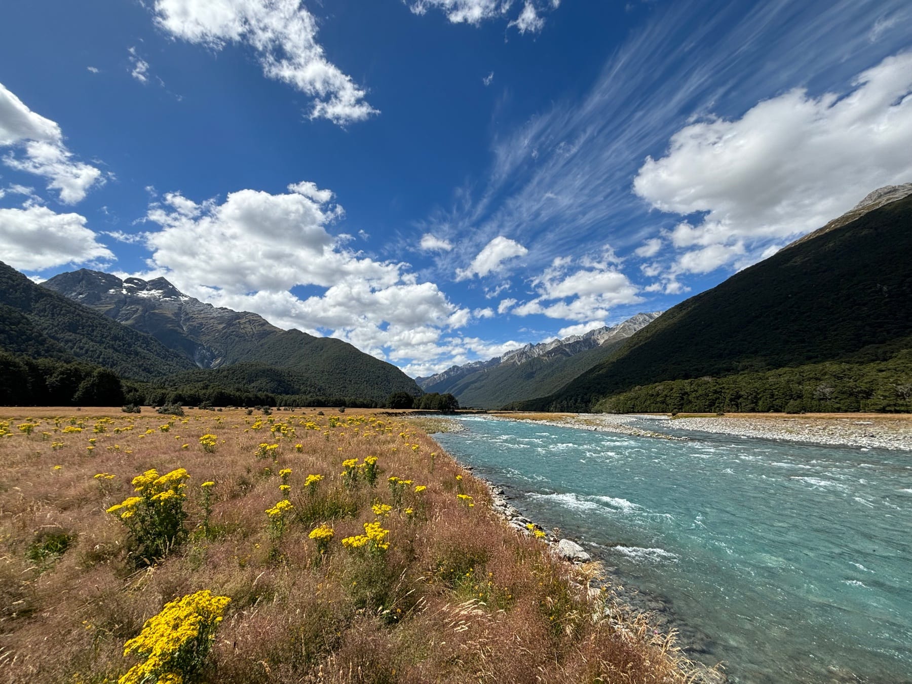 Early morning light on a braided South Island river